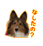 北の国のこうめさん（北海道弁）（個別スタンプ：10）