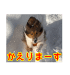 北の国のこうめさん（北海道弁）（個別スタンプ：14）