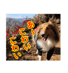 北の国のこうめさん（北海道弁）（個別スタンプ：16）