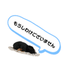 ガールの普段使いスタンプ（個別スタンプ：4）