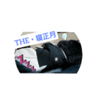 わんこの響輝くん ②（個別スタンプ：2）