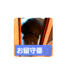 わんこの響輝くん ②（個別スタンプ：7）