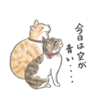 兄妹猫とおじさん猫スタンプ（個別スタンプ：22）