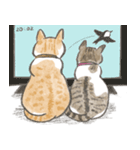 兄妹猫とおじさん猫スタンプ（個別スタンプ：35）