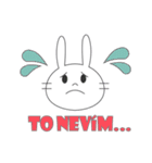 日常チェコ語会話（個別スタンプ：4）