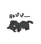 ね、くろちゃん。（個別スタンプ：1）