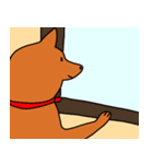 しばいぬぷんぷん丸（個別スタンプ：13）