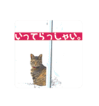 弘前のBook Cafe「けやぐの家」のスタンプ（個別スタンプ：3）
