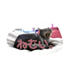 弘前のBook Cafe「けやぐの家」のスタンプ（個別スタンプ：4）