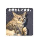 弘前のBook Cafe「けやぐの家」のスタンプ（個別スタンプ：11）