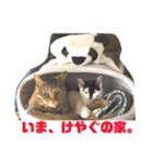 弘前のBook Cafe「けやぐの家」のスタンプ（個別スタンプ：12）