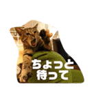 弘前のBook Cafe「けやぐの家」のスタンプ（個別スタンプ：17）