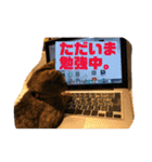 弘前のBook Cafe「けやぐの家」のスタンプ（個別スタンプ：22）