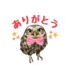 コキンメフクロウのハミィ その2（個別スタンプ：1）