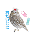 コキンメフクロウのハミィ その2（個別スタンプ：15）