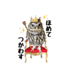 コキンメフクロウのハミィ その2（個別スタンプ：22）