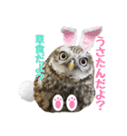 コキンメフクロウのハミィ その2（個別スタンプ：23）