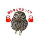 コキンメフクロウのハミィ その2（個別スタンプ：24）