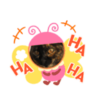 森内家のにゃんこ！④健さんver（個別スタンプ：4）