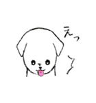 つぶらな瞳の犬（個別スタンプ：9）