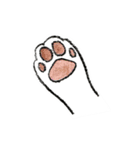 つぶらな瞳の犬（個別スタンプ：14）