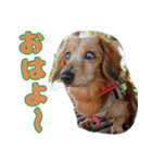 いつまでも一緒 いつまでも一緒（個別スタンプ：1）