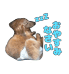 いつまでも一緒 いつまでも一緒（個別スタンプ：2）