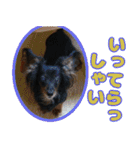 いつまでも一緒 いつまでも一緒（個別スタンプ：3）