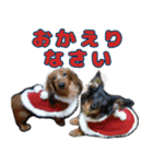 いつまでも一緒 いつまでも一緒（個別スタンプ：5）