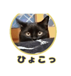 いつまでも一緒 いつまでも一緒（個別スタンプ：9）
