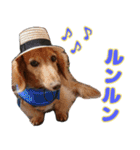 いつまでも一緒 いつまでも一緒（個別スタンプ：16）