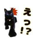 いつまでも一緒 いつまでも一緒（個別スタンプ：23）