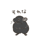 チンチラ ゆるかわ日常＆お仕事編（個別スタンプ：4）