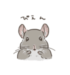 チンチラ ゆるかわ日常＆お仕事編（個別スタンプ：17）