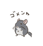 チンチラ ゆるかわ日常＆お仕事編（個別スタンプ：24）