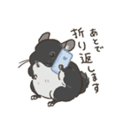 チンチラ ゆるかわ日常＆お仕事編（個別スタンプ：34）