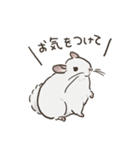 チンチラ ゆるかわ日常＆お仕事編（個別スタンプ：39）
