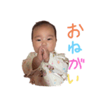 ひよちゃんちやん（個別スタンプ：1）