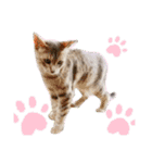さくにゃん其の参（個別スタンプ：2）