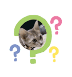 さくにゃん其の参（個別スタンプ：9）