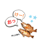 港のミーコ（個別スタンプ：21）