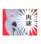 三毛猫のさくら（個別スタンプ：11）