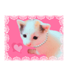 三毛猫のさくら（個別スタンプ：21）