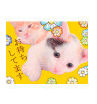 三毛猫のさくら（個別スタンプ：32）