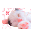 三毛猫のさくら（個別スタンプ：39）