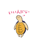ほんわかカメさんとお友達（個別スタンプ：1）