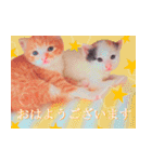 茶トラ猫のトラ（個別スタンプ：1）