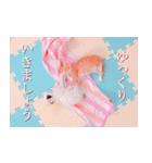 茶トラ猫のトラ（個別スタンプ：17）