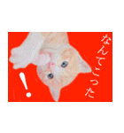 茶トラ猫のトラ（個別スタンプ：26）