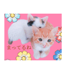 茶トラ猫のトラ（個別スタンプ：39）